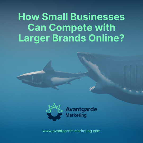 How Small Businesses Can Compete with Larger Brands Online